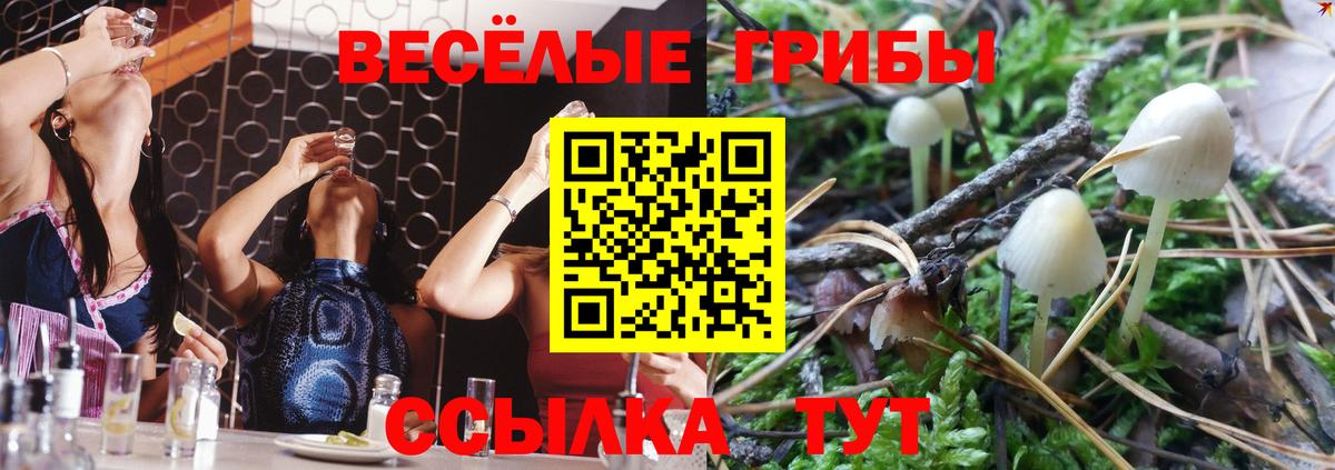 Псилоцибиновые грибы MAGIC MUSHROOMS  Псилоцибиновые грибы мухоморы  сколько стоит  Вход с VPN  Клин 